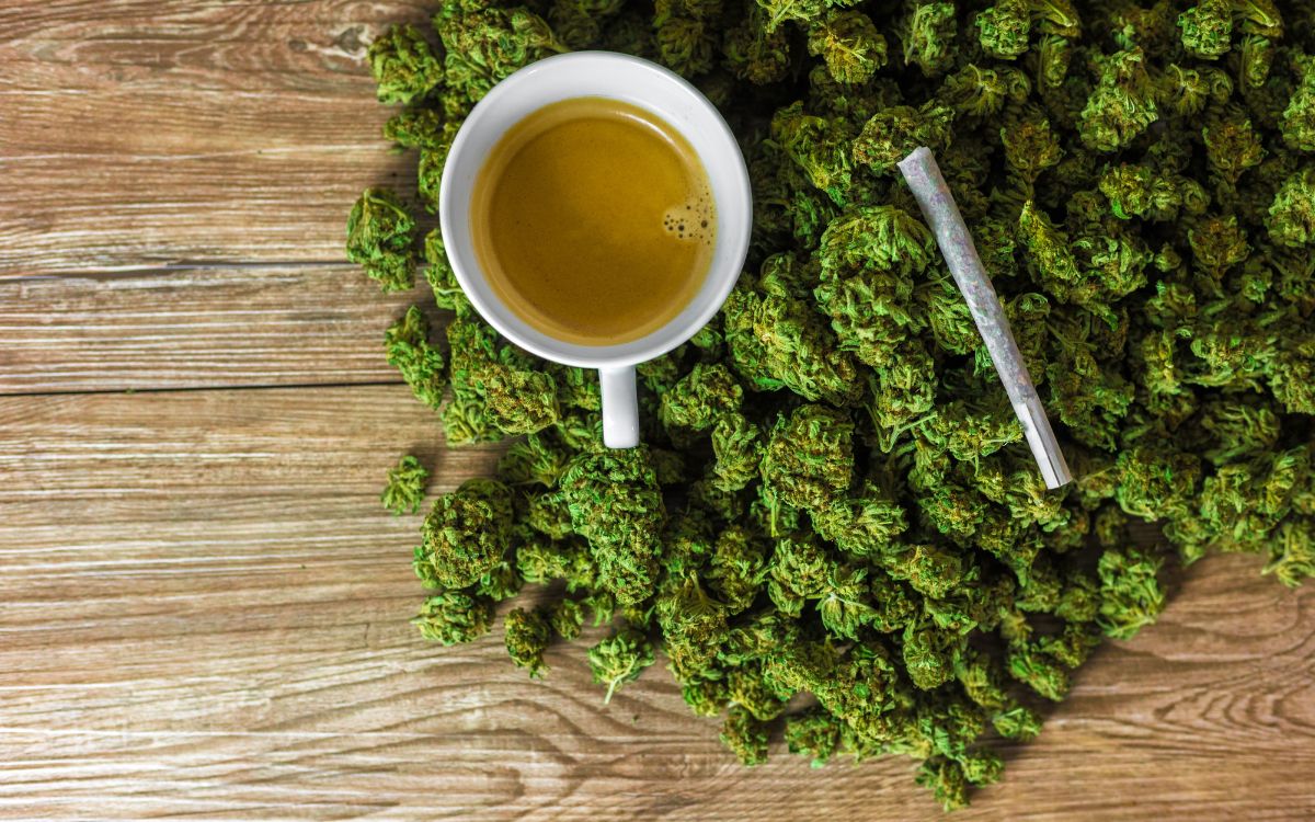 In der aufstrebenden Welt des CBD hat sich die Hanfblüte zu einem echten Trend entwickelt.