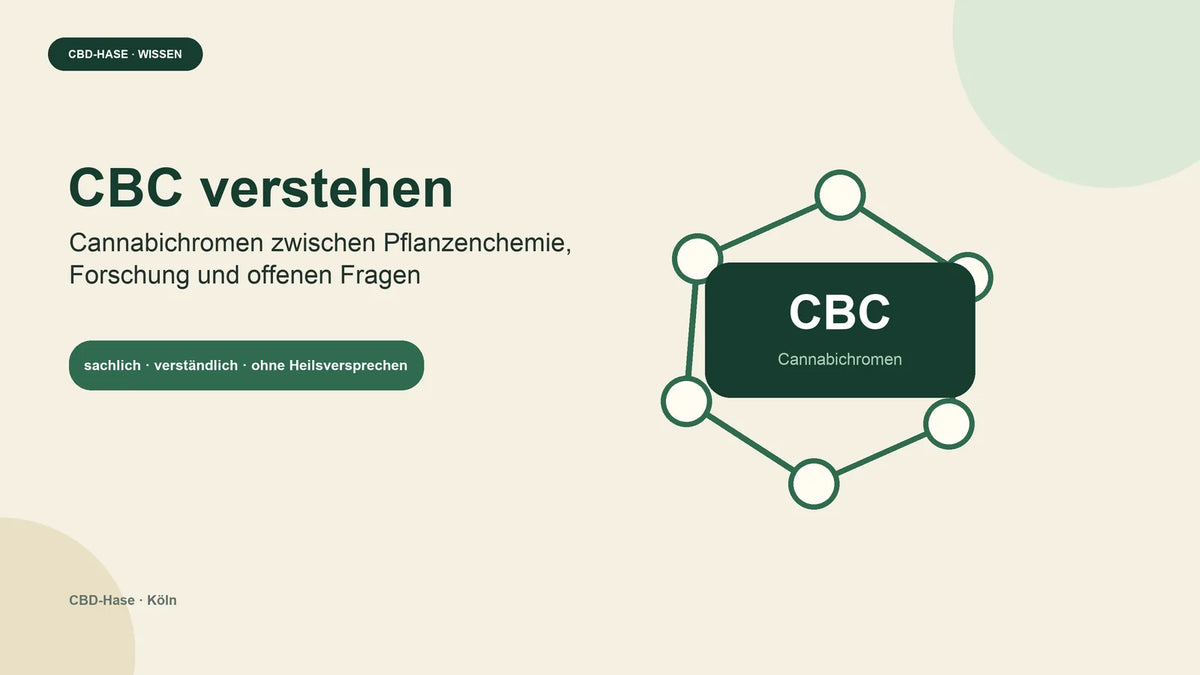 Titelgrafik zu CBC und Cannabichromen mit abstrahiertem Molekülnetz in Grün und Creme