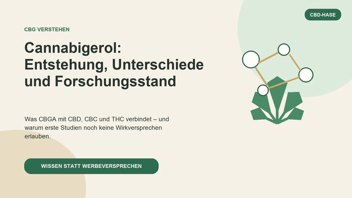 CBG verstehen: Cannabigerol, Entstehung, Unterschiede und Forschungsstand