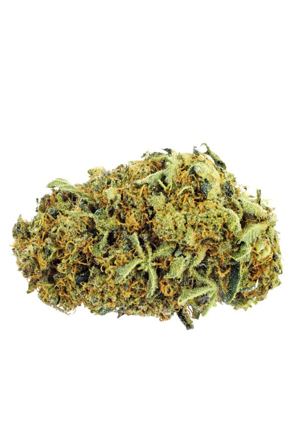 Orange Bud CBD – Gönn dir fruchtige Citrus-Vibes